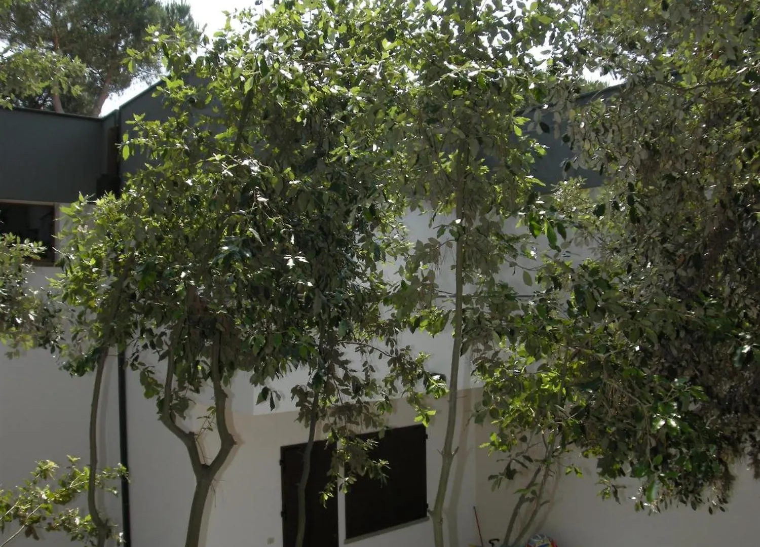 Modern 2 Bedroom Apartment Near Rosolina Beach ロゾリーナ・マーレ イタリア